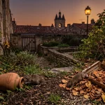 Dératisation à Bordeaux : comment éliminer rats et souris efficacement ?
