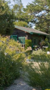 Blindage électromagnétique maison : astuces pour limiter l'exposition aux ondes